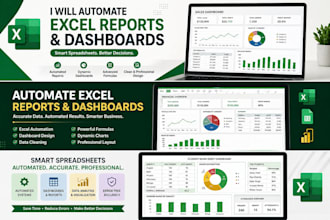build smart automated excel reporting systems
