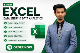 do excel data entry, data cleaning, and data analytics