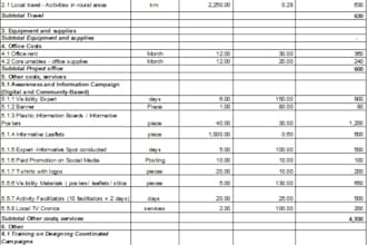 prepare professional grant budget for your ngo or nonprofit
