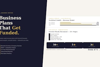 write a professional business plan for investors or banks