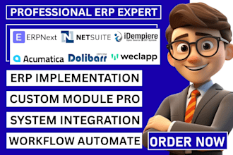 setup erpnext acumatica weclapp dolibarr idempiere oracle netsuite erp system