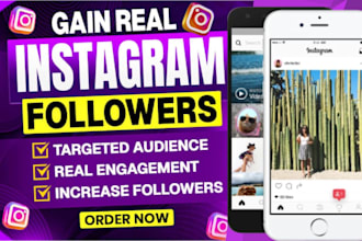 be instagram assistant canva virtual assistant admin support  social media VA