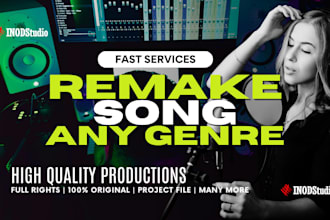professionally remake song and recreate music in any genre