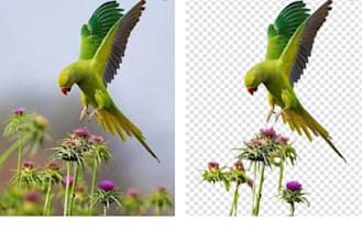 enhance image and more for you