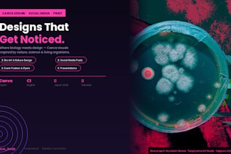 design professional canva flyers and presentations