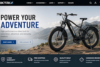 shopify developer for store design and customization