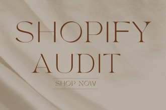 audit your shopify store to  drive sales