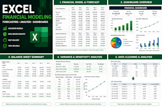 create professional excel dashboard financial model , report