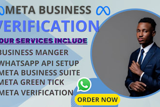 setup meta business suite, whatsapp API, meta business verification