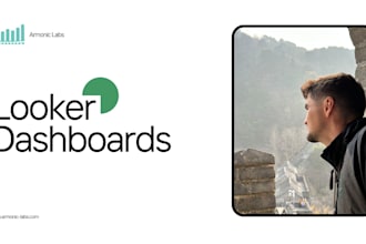 create professional dashboards and data visualization