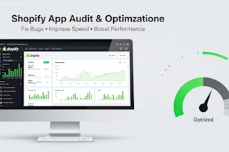 audit your shopify public or private app  for performance