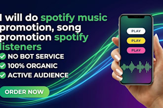 promote your spotify song to a targeted audience