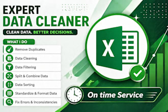 top notch data entry and data cleaning expert