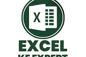 do excel data entry, vlookup,xlookup and data cleaning