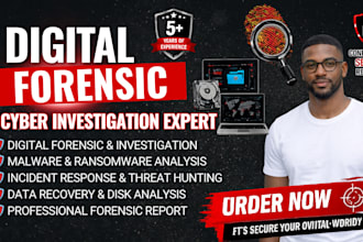 do digital forensics, cyber investigation, malware analysis and data recovery