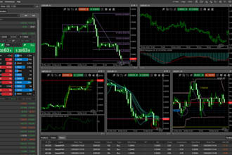 develop custom ninjatrader 8 indicators and automation in ninjascript