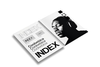 create a complete brand identity system with guidelines