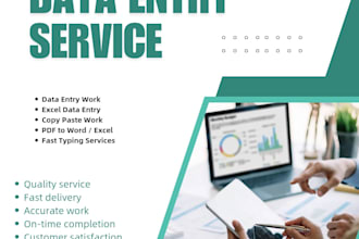 do fast and accurate data entry,tying and copy paste work