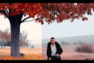 do professional video color grading and color correction