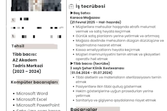 design a professional modern CV resume