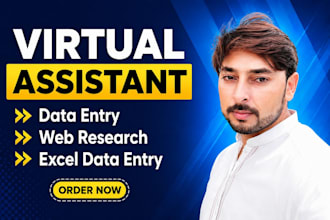 do data entry, survey conducting,convert pdf,typing and translation eng and urd
