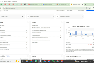 manage your ebay account as a VA handle listings orders issues