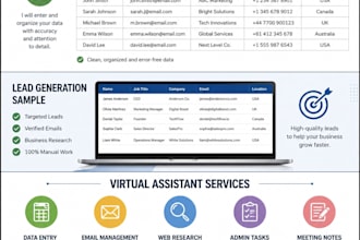 provide data entry, lead generation and admin support