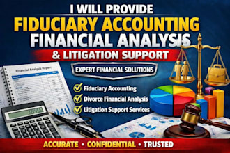 handle fiduciary accounting,divource financial analysis, and litigation support