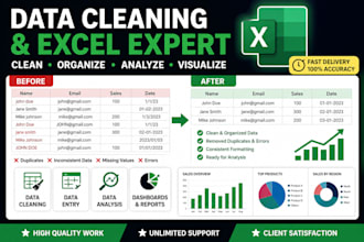 do data cleaning excel dashboard, data analysis