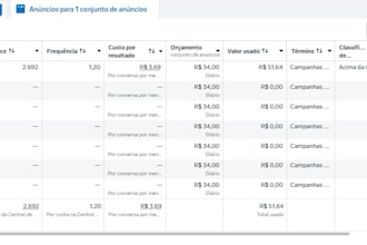 setup and manage your meta ads to generate leads and sales