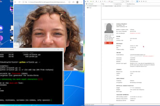 conduct a professional osint online investigation