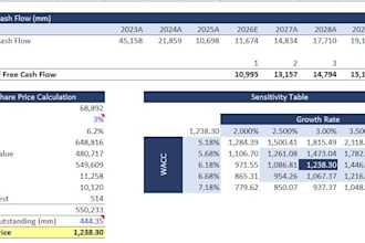 build discounted cashflow models along with capital budgeting analysis