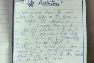 provide professional assignment writing and handwriting service
