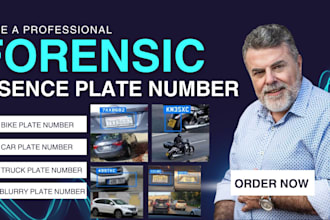 perform forensic license plate investigation, enhancement and detailed report