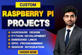 do raspberry pi projects