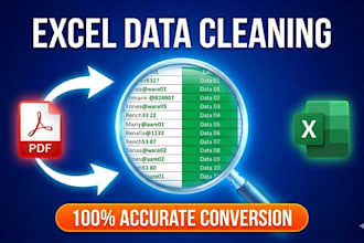 clean excel data and convert PDF to spreadsheet accurately