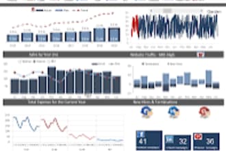 build professional excel dashboards for sales, finance and business report