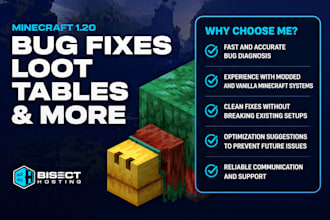 fix minecraft bugs, errors, crashes, plugins, mods and server issues