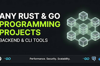 do any rust and go programming projects