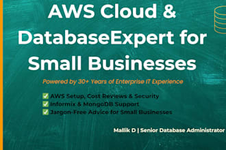 be your AWS cloud and database consultant for small businesses