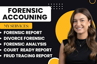 handle forensic accounting, audits, and prepare court ready financial reports