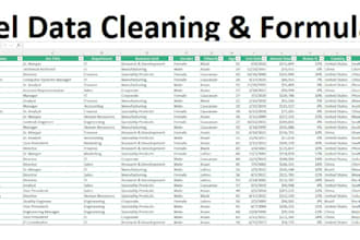 clean, fix and organize your excel spreadsheet