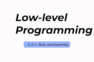 work on any low level programming project