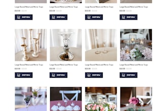 design a modern ecommerce website UI for shopify or brands