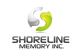 create a professional computer logo design