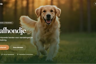 make and launch your website