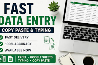 fast and accurate data entry copy paste and exel tasks