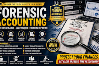 forensic accounting fraud investigation asset tracing financial reporting