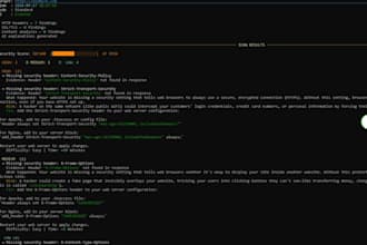 perform a deep web application security audit idor e business logic