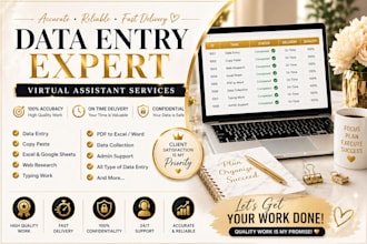 do accurate data entry virtual assitant task